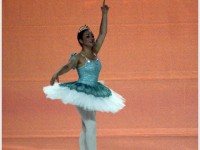 DSC0492