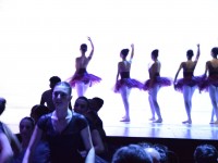 DSC0611