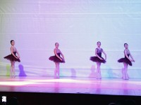 DSC0625