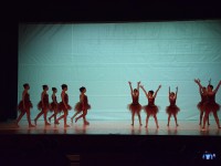 DSC0955