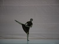DSC0985