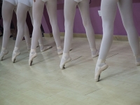 Stage Begojev_40