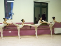 Stage Begojev_47