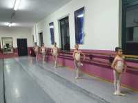 Gruppo-1-7