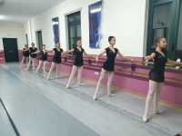 Gruppo-3-11