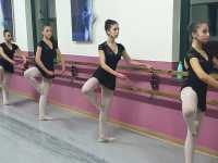 Gruppo-3-15