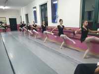 Gruppo-3-19