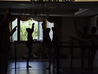 _DSC0236 copia