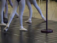 _DSC0393 copia